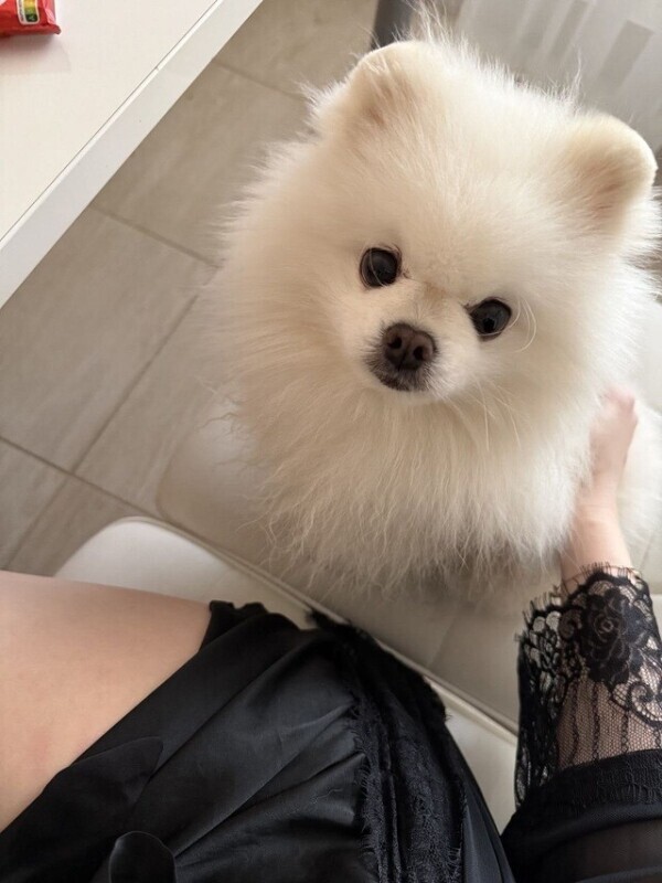 ありがとうございました🩵