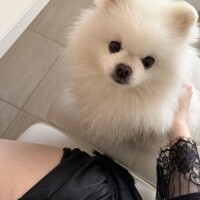 ありがとうございました🩵