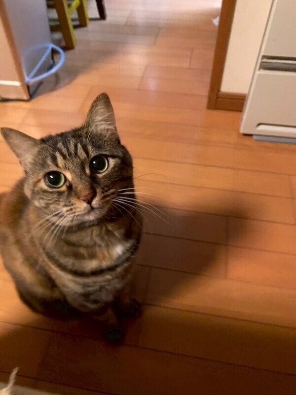 いっぱいお話できた🩷