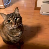 いっぱいお話できた🩷