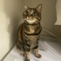 たくさんありがとう💞