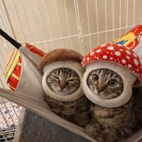 笑いすぎて時間が足りなかった😂🩷