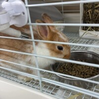元気100倍になったけん🐰💕
