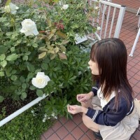 かなの