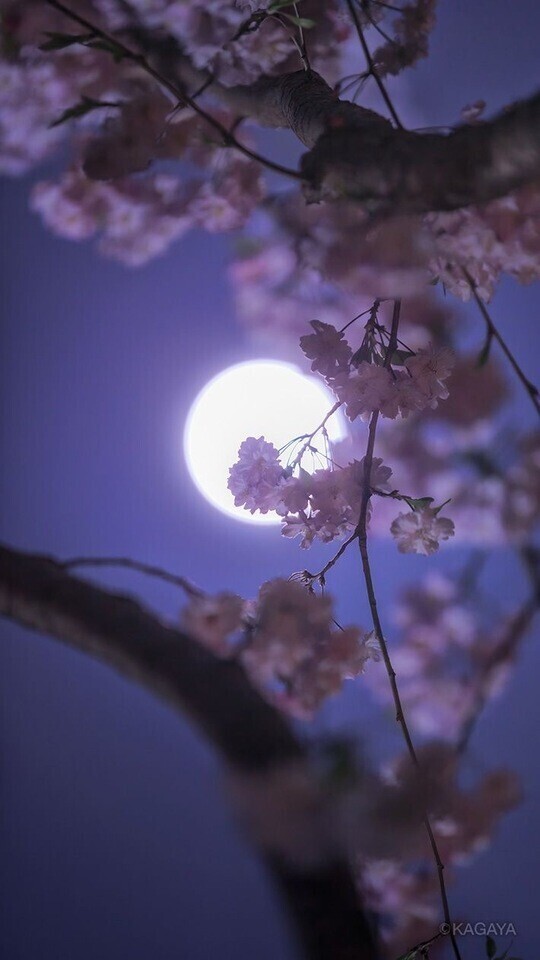 ありがとうございます✨