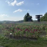 初日終了♪