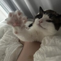 おはよぉぉお