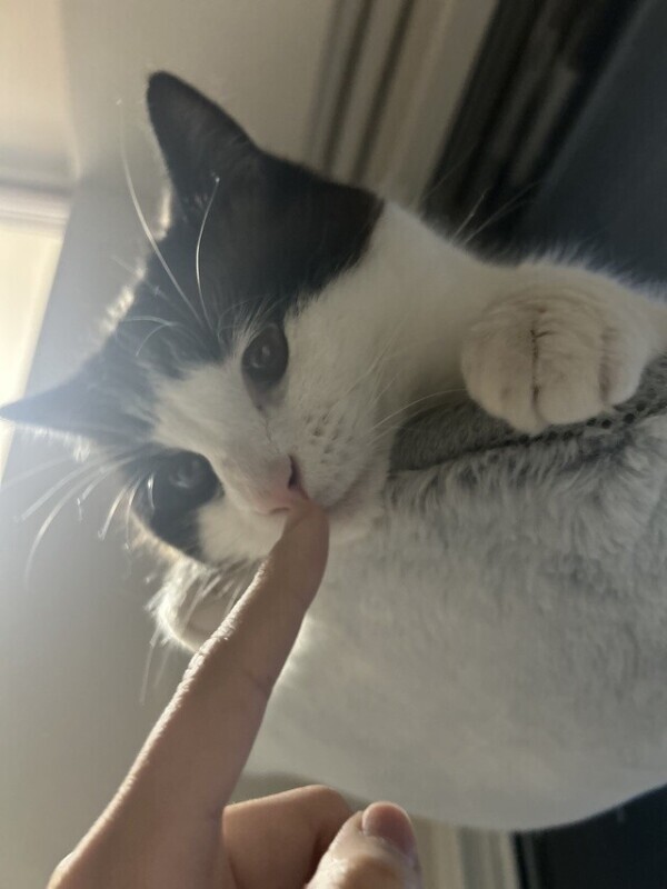 お礼💌