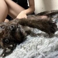 お料理上手なお兄さんへ🧸💌