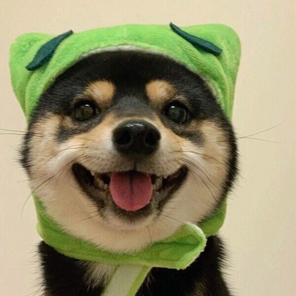 お礼💌ファーストウッド60分様💌