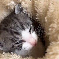 ❤️大感謝❤️