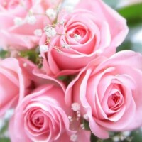 感謝と余韻💭💖