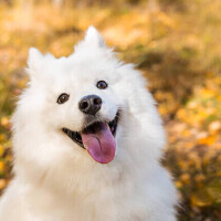 90分ルサンチェのお兄さん💌´-