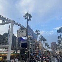 おやすみなさい🌙*:゜