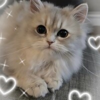 11/22お礼日記🤍