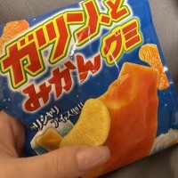 おはようございます🍀*゚