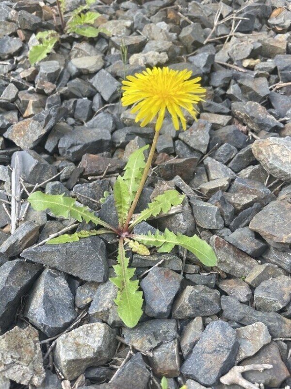 ココのお兄さんへ💌🎀