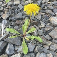 ココのお兄さんへ💌🎀