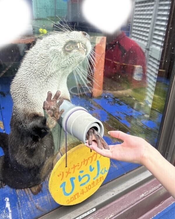 やっぱりみんな大好きな0️⃣距離××？