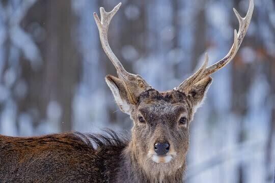 寒い日は身体と身体重ねてくれませんか？♡