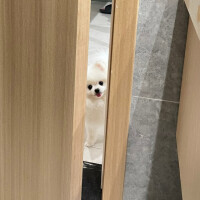 気をつけていること🍀