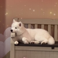 3日目ありがとうございました💖