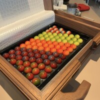 ✉💕バロン90分様