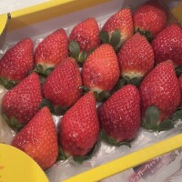 ✉💕ウェルコ90分様