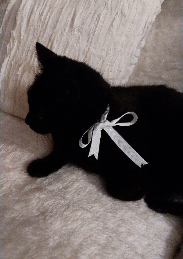 💌レモンツリー211号室90分コースのお兄さんへ💌