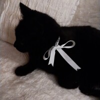 💌レモンツリー211号室90分コースのお兄さんへ💌