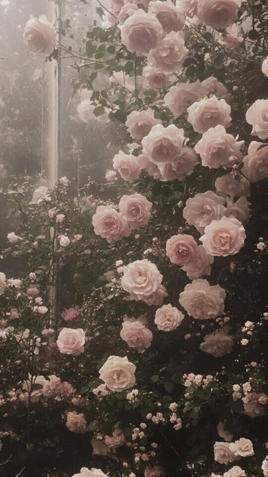 💌自宅60分コースのお兄さんへ💌