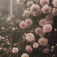 💌自宅60分コースのお兄さんへ💌