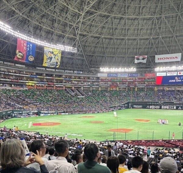 💌1/8レモンツリー