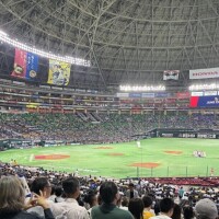 💌1/8レモンツリー