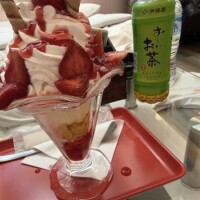 💌➡️📮𝐓𝐡𝐚𝐧𝐤𝐲𝐨𝐮‎🤍