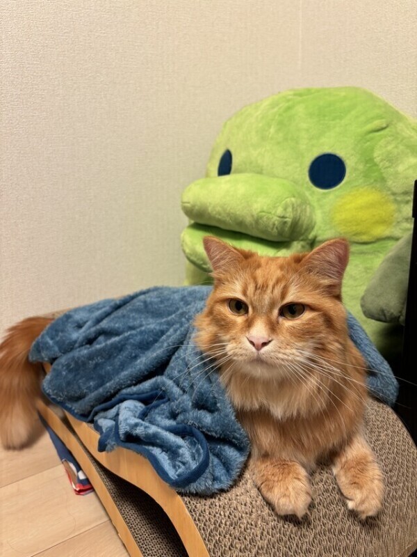 💌ファーストウッド120分