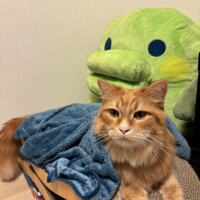 💌ファーストウッド120分