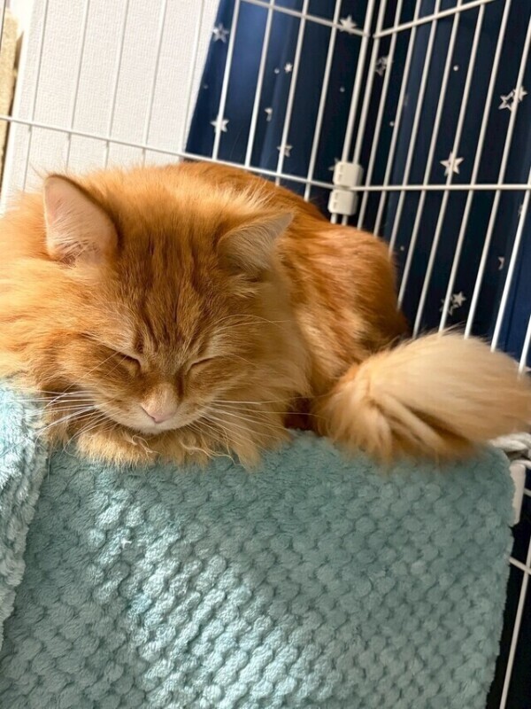 明日も待ってる！