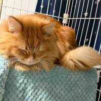 明日も待ってる！