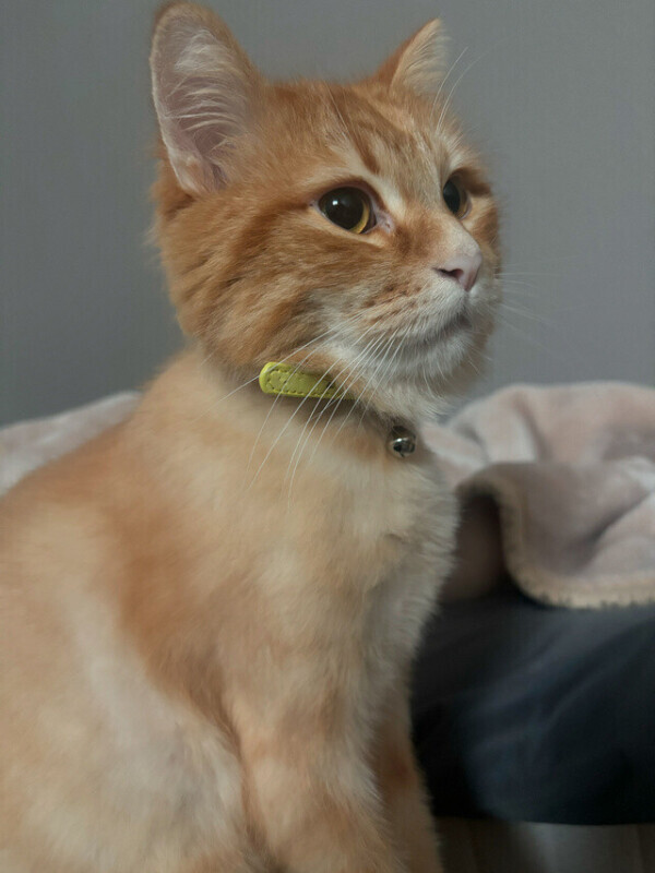 💌ファーストウッド90分