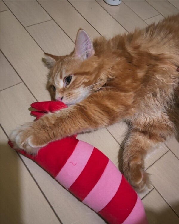 💌リッチモンド120分