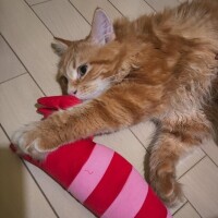 💌リッチモンド120分