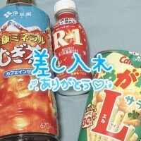 レモンツリー💌