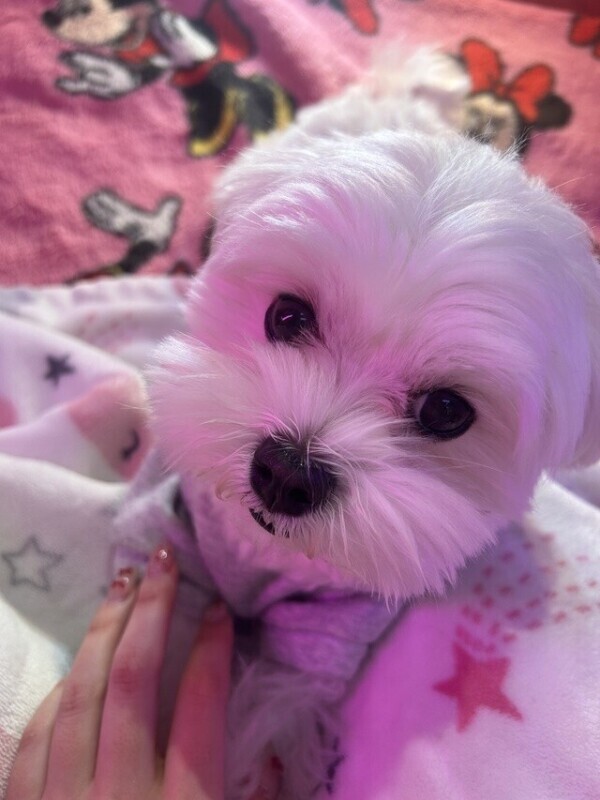 予約待ってます✨