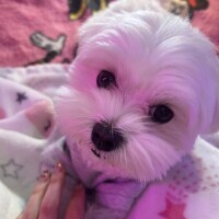 予約待ってます✨