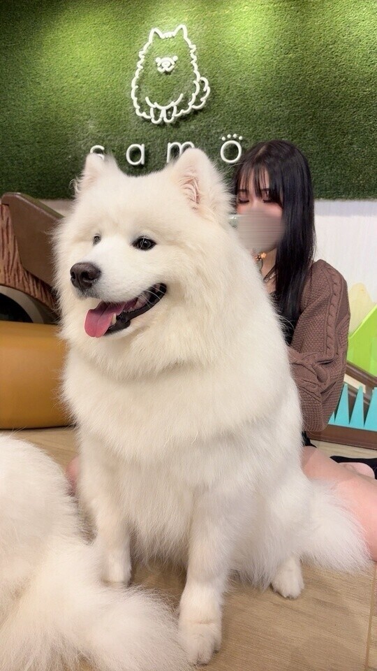 〇〇しかダメぇ👉🏻👈🏻‪💧‬