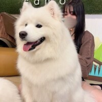 〇〇しかダメぇ👉🏻👈🏻‪💧‬