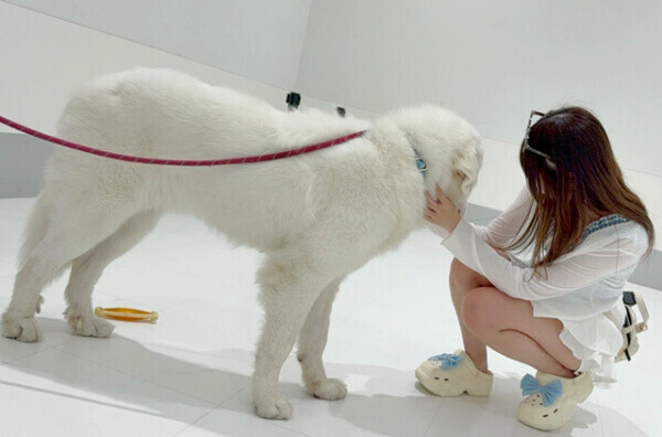 はじめましてっ🐩♥