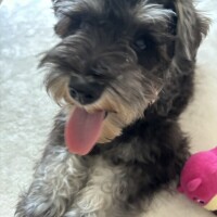 ありがとうでした✈️💨