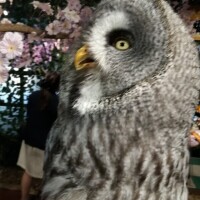 💌𓈒𓏸⌇お礼